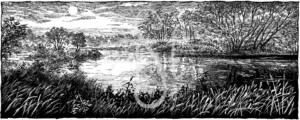 Andreas Steiner "Am Fluss"